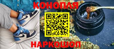мдпв Обь