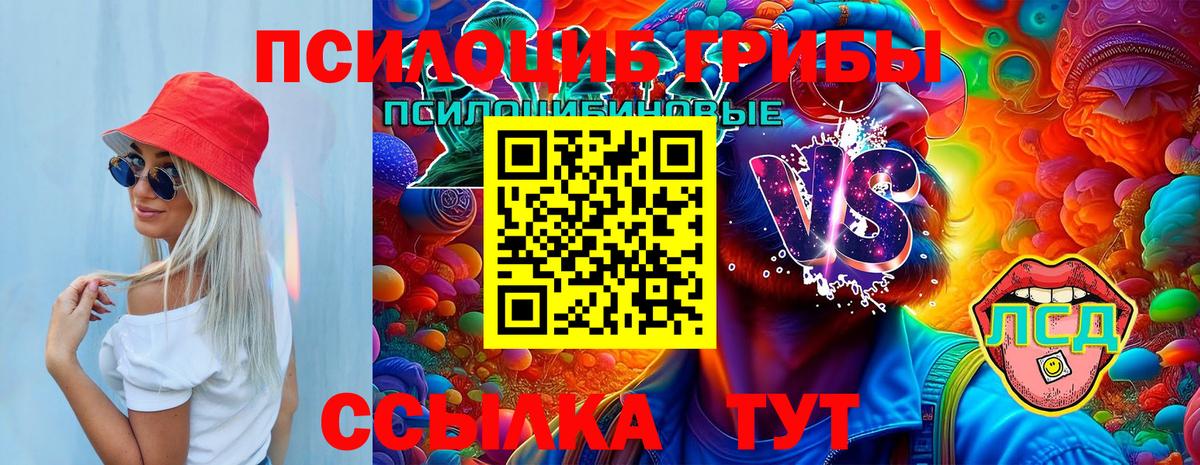 Псилоцибиновые грибы Magic Shrooms  Вход с VPN  Псилоцибиновые грибы ЛСД  Тара 
