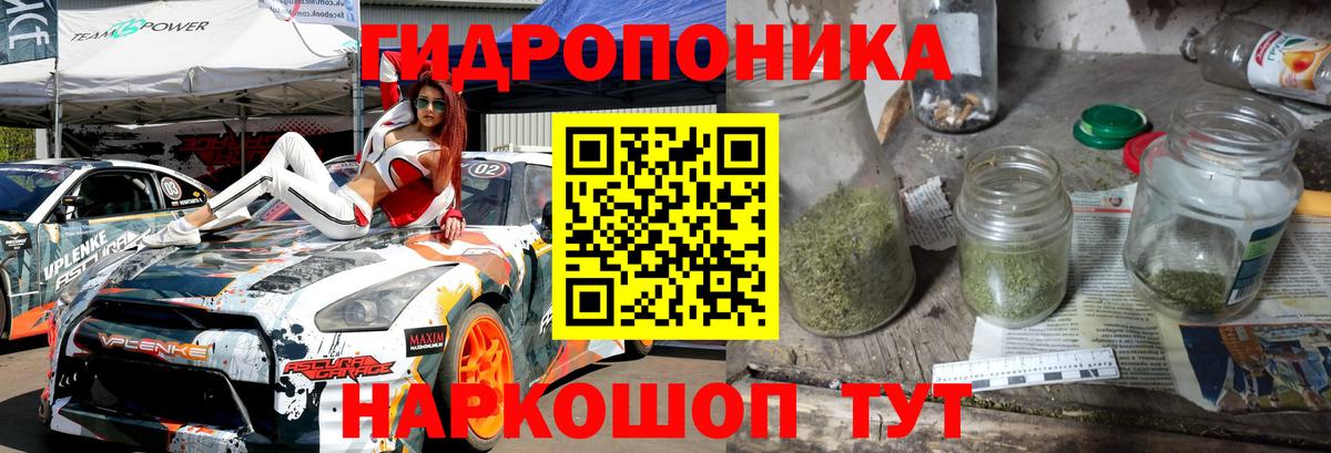 Канабис MAZAR Тара